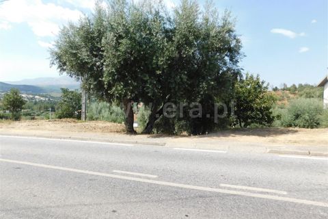 Helårsgrund i Fundao, Castelo Branco, Fundao - € 49.000 | Ref: 255200164 - foto 5