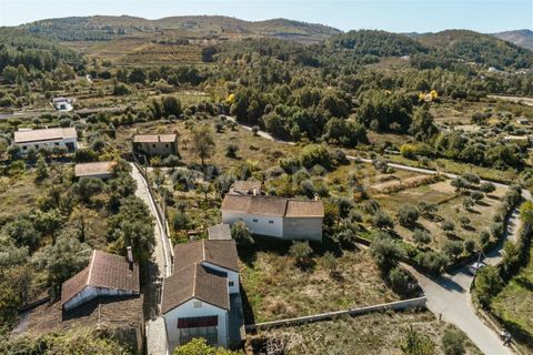 Tomt i Fundao, Castelo Branco, Fundao - € 24 900 | Ref: 255180098 - foto 15