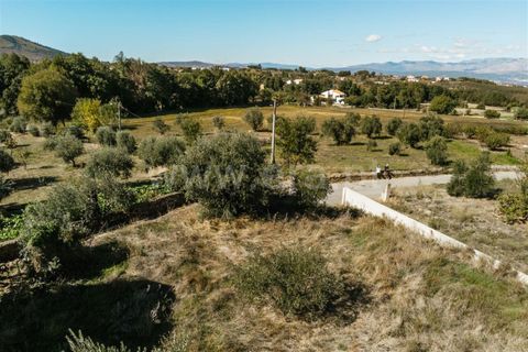 Tomt i Fundao, Castelo Branco, Fundao - € 24 900 | Ref: 255180098 - foto 16