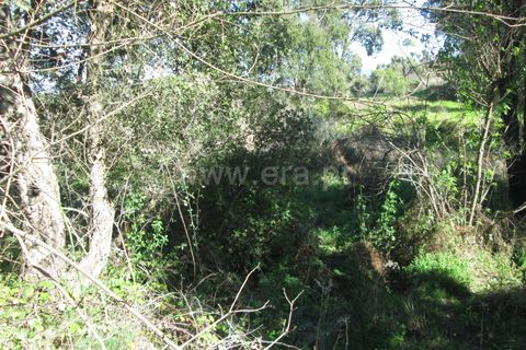 Tomt i Fundao, Castelo Branco, Fundao - € 32 000 | Ref: 255190061 - foto 3
