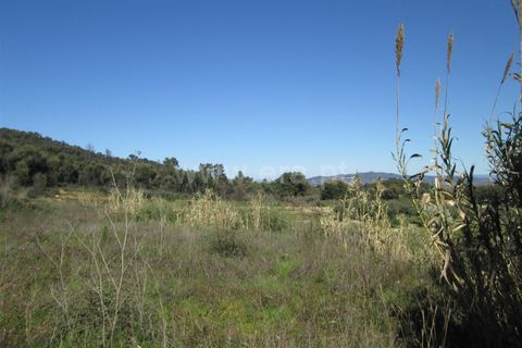 Tomt i Fundao, Castelo Branco, Fundao - € 32 000 | Ref: 255190061 - foto 4