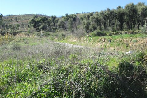 Tomt i Fundao, Castelo Branco, Fundao - € 32 000 | Ref: 255190061 - foto 5