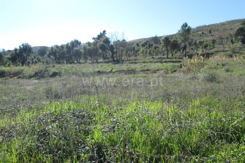 Tomt i Fundao, Castelo Branco, Fundao - € 32 000 | Ref: 255190061 - foto 6