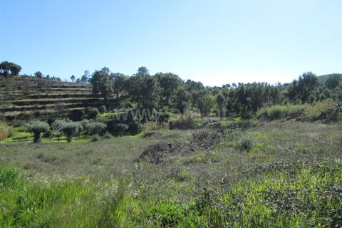 Tomt i Fundao, Castelo Branco, Fundao - € 32 000 | Ref: 255190061 - foto 7