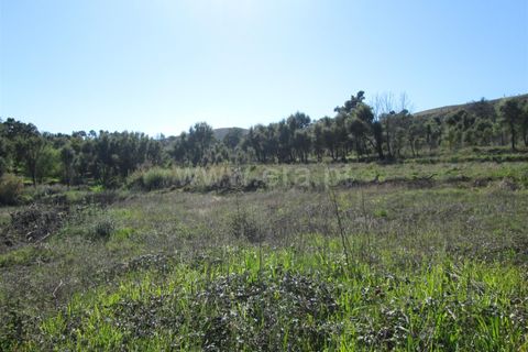 Tomt i Fundao, Castelo Branco, Fundao - € 32 000 | Ref: 255190061 - foto 8