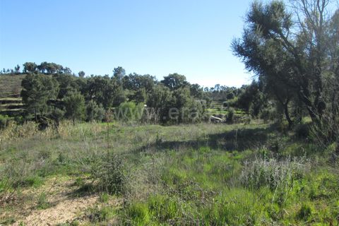 Tomt i Fundao, Castelo Branco, Fundao - € 32 000 | Ref: 255190061 - foto 9