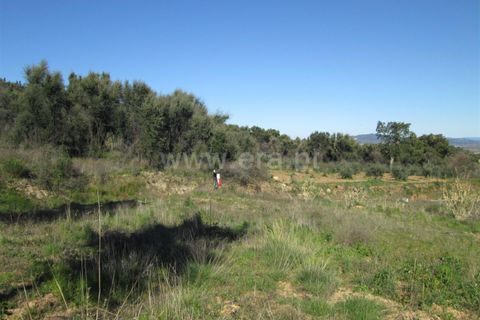 Tomt i Fundao, Castelo Branco, Fundao - € 32 000 | Ref: 255190061 - foto 10