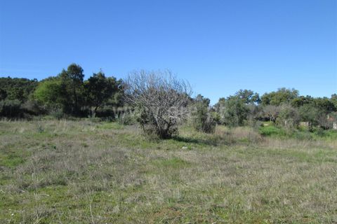 Tomt i Fundao, Castelo Branco, Fundao - € 24 000 | Ref: 255190059 - foto 2