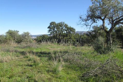 Tomt i Fundao, Castelo Branco, Fundao - € 24 000 | Ref: 255190059 - foto 3