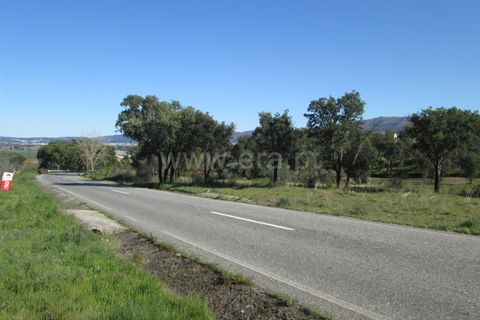 Tomt i Fundao, Castelo Branco, Fundao - € 24 000 | Ref: 255190059 - foto 4