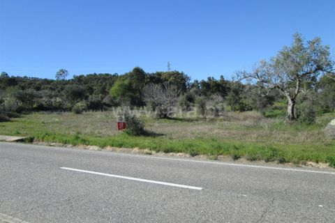 Tomt i Fundao, Castelo Branco, Fundao - € 24 000 | Ref: 255190059 - foto 6