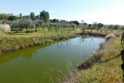 Landejendom i Fundao, Castelo Branco, Fundao - € 85.000 | Ref: 255190070 - foto 2