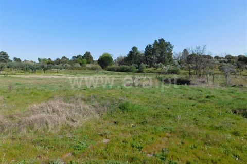Landejendom i Fundao, Castelo Branco, Fundao - € 85.000 | Ref: 255190070 - foto 7