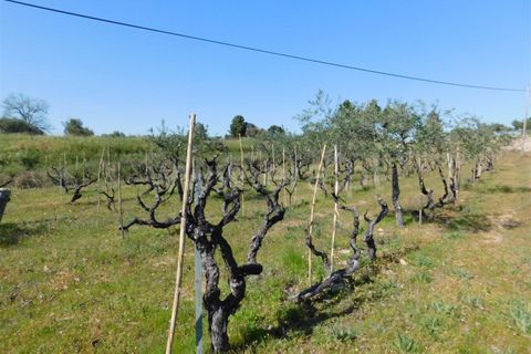 Landejendom i Fundao, Castelo Branco, Fundao - € 85.000 | Ref: 255190070 - foto 9
