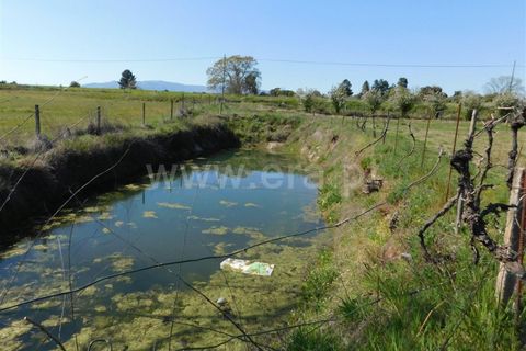Landejendom i Fundao, Castelo Branco, Fundao - € 85.000 | Ref: 255190070 - foto 10