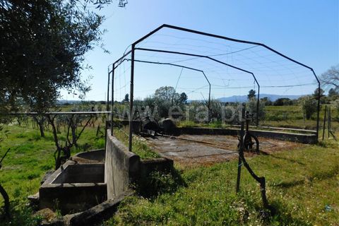 Landejendom i Fundao, Castelo Branco, Fundao - € 85.000 | Ref: 255190070 - foto 12
