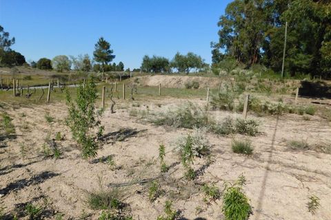 Landejendom i Fundao, Castelo Branco, Fundao - € 85.000 | Ref: 255190070 - foto 13