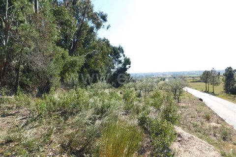 Landejendom i Fundao, Castelo Branco, Fundao - € 85.000 | Ref: 255190070 - foto 15