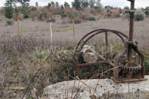 Helårsgrund i Fundao, Castelo Branco, Fundao - € 11.000 | Ref: 255220051 - foto 2