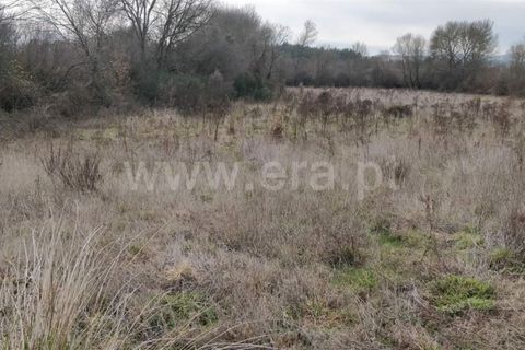 Helårsgrund i Fundao, Castelo Branco, Fundao - € 11.000 | Ref: 255220051 - foto 3