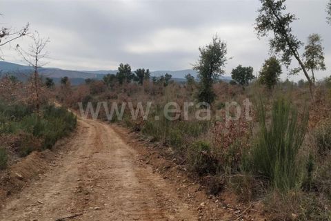 Helårsgrund i Fundao, Castelo Branco, Fundao - € 11.000 | Ref: 255220051 - foto 4