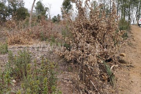 Helårsgrund i Fundao, Castelo Branco, Fundao - € 11.000 | Ref: 255220051 - foto 5