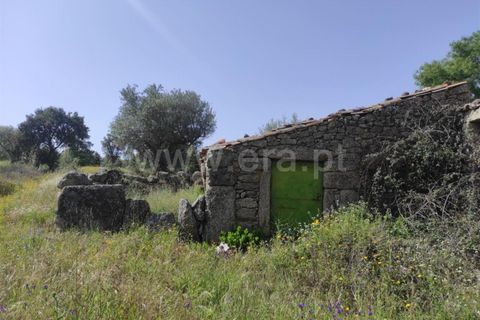 Tomt i Fundao, Castelo Branco, Fundao - € 56 500 | Ref: 255220068 - foto 2