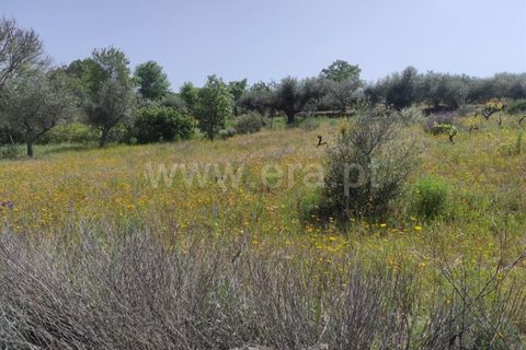 Tomt i Fundao, Castelo Branco, Fundao - € 56 500 | Ref: 255220068 - foto 5