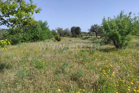 Tomt i Fundao, Castelo Branco, Fundao - € 56 500 | Ref: 255220068 - foto 8