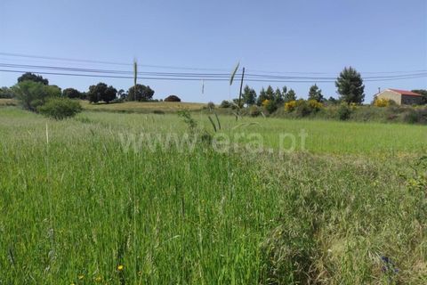 Tomt i Fundao, Castelo Branco, Fundao - € 56 500 | Ref: 255220068 - foto 9