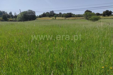 Tomt i Fundao, Castelo Branco, Fundao - € 56 500 | Ref: 255220068 - foto 10