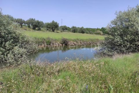 Tomt i Fundao, Castelo Branco, Fundao - € 56 500 | Ref: 255220068 - foto 11