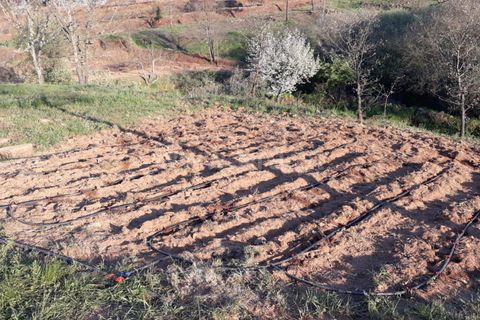 Farm i Fundao, Castelo Branco, Fundao - € 89.000 | Ref: 255220087 - foto 2