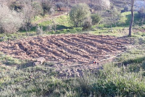 Farm i Fundao, Castelo Branco, Fundao - € 89.000 | Ref: 255220087 - foto 3