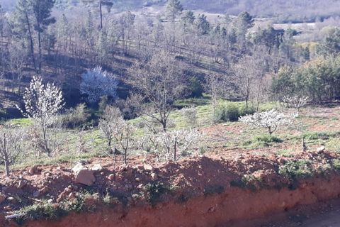 Farm i Fundao, Castelo Branco, Fundao - € 89.000 | Ref: 255220087 - foto 5