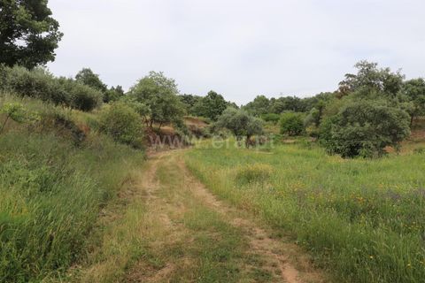 Farm i Fundao, Castelo Branco, Fundao - € 89.000 | Ref: 255220087 - foto 7