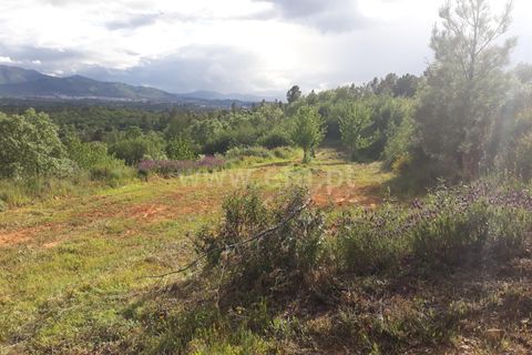 Farm i Fundao, Castelo Branco, Fundao - € 89.000 | Ref: 255220087 - foto 8