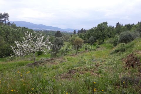 Farm i Fundao, Castelo Branco, Fundao - € 89.000 | Ref: 255220087 - foto 9