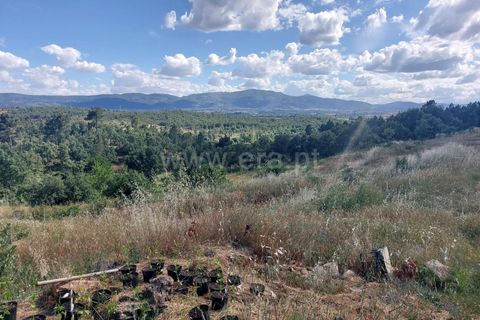 Farm i Fundao, Castelo Branco, Fundao - € 89.000 | Ref: 255220087 - foto 11