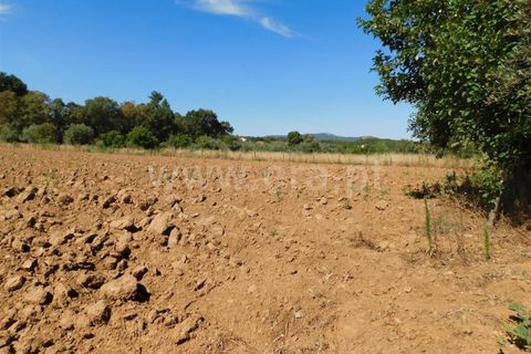 Helårsgrund i Fundao, Castelo Branco, Fundao - € 37.500 | Ref: 255220127 - foto 3