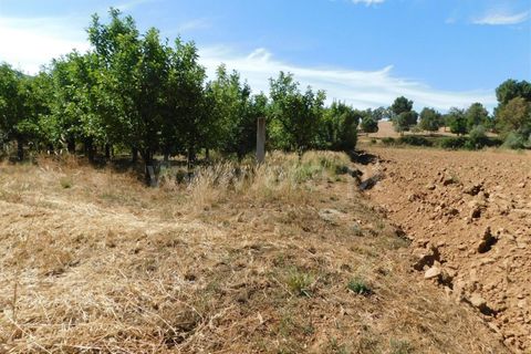 Helårsgrund i Fundao, Castelo Branco, Fundao - € 37.500 | Ref: 255220127 - foto 4