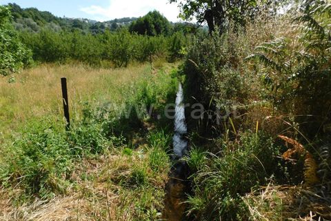 Helårsgrund i Fundao, Castelo Branco, Fundao - € 37.500 | Ref: 255220127 - foto 5