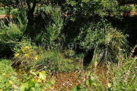 Helårsgrund i Fundao, Castelo Branco, Fundao - € 37.500 | Ref: 255220127 - foto 6