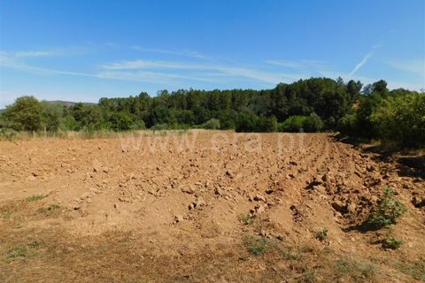 Helårsgrund i Fundao, Castelo Branco, Fundao - € 37.500 | Ref: 255220127 - foto 16