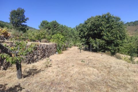 Helårsgrund i Fundao, Castelo Branco, Fundao - € 40.000 | Ref: 255220134 - foto 11