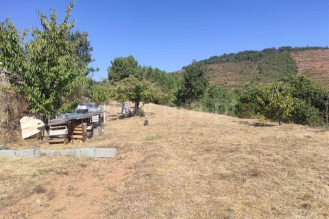 Helårsgrund i Fundao, Castelo Branco, Fundao - € 40.000 | Ref: 255220134 - foto 12