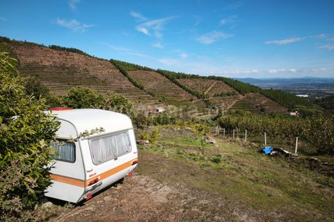 Helårsgrund i Fundao, Castelo Branco, Fundao - € 40.000 | Ref: 255220134 - foto 2