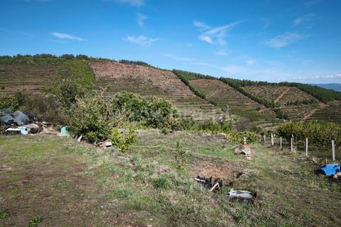 Helårsgrund i Fundao, Castelo Branco, Fundao - € 40.000 | Ref: 255220134 - foto 3
