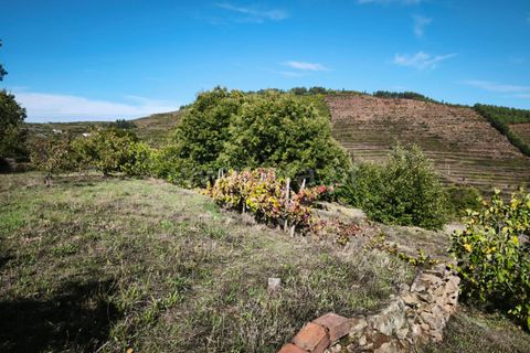 Helårsgrund i Fundao, Castelo Branco, Fundao - € 40.000 | Ref: 255220134 - foto 7
