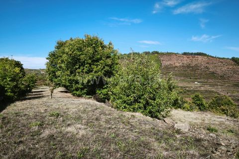 Helårsgrund i Fundao, Castelo Branco, Fundao - € 40.000 | Ref: 255220134 - foto 8